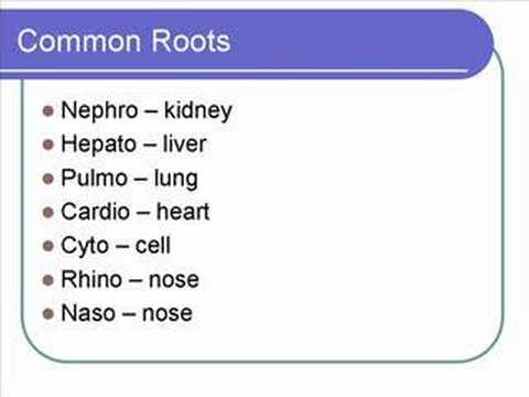Easy medical terminology list pdf